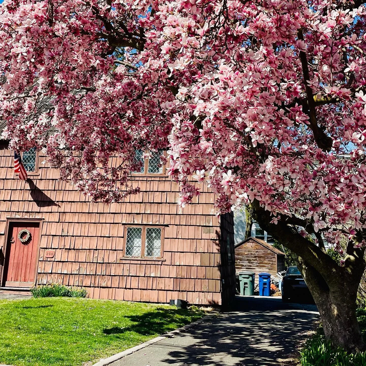 Rogation Tuesday: Young and Old

The John Wheeler house is the oldest surviving house in our neighborhood. Although traditionally dated to 1720, the steep pitch of its roof and various interior features suggest an even earlier date in the seventeenth