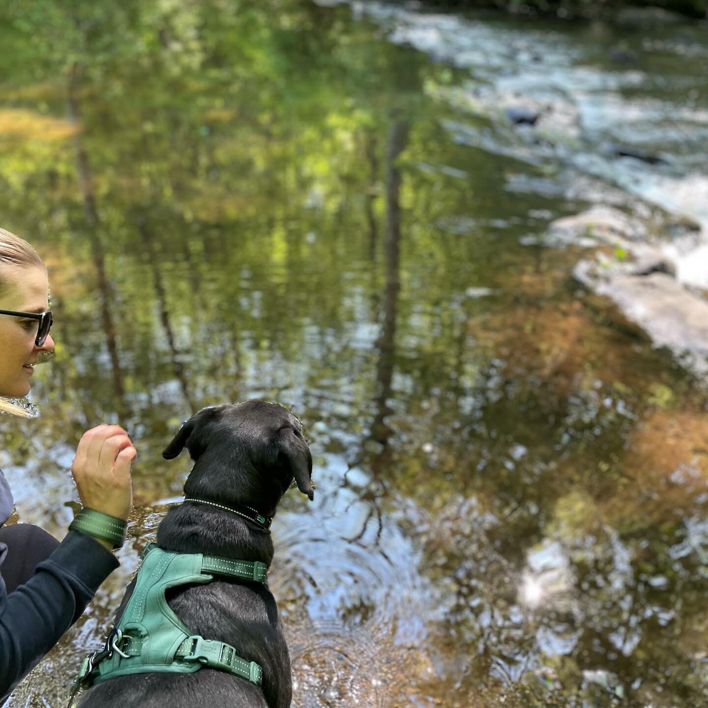 Rogation Friday: RESTORE
:
This is a hurried snap during a deeply restorative walk with @bethmaree and Crosby. Ministry life is no joke, and having trusted companionship on the journey is an amazing grace. Thank you, Beth, for letting God multiply yo