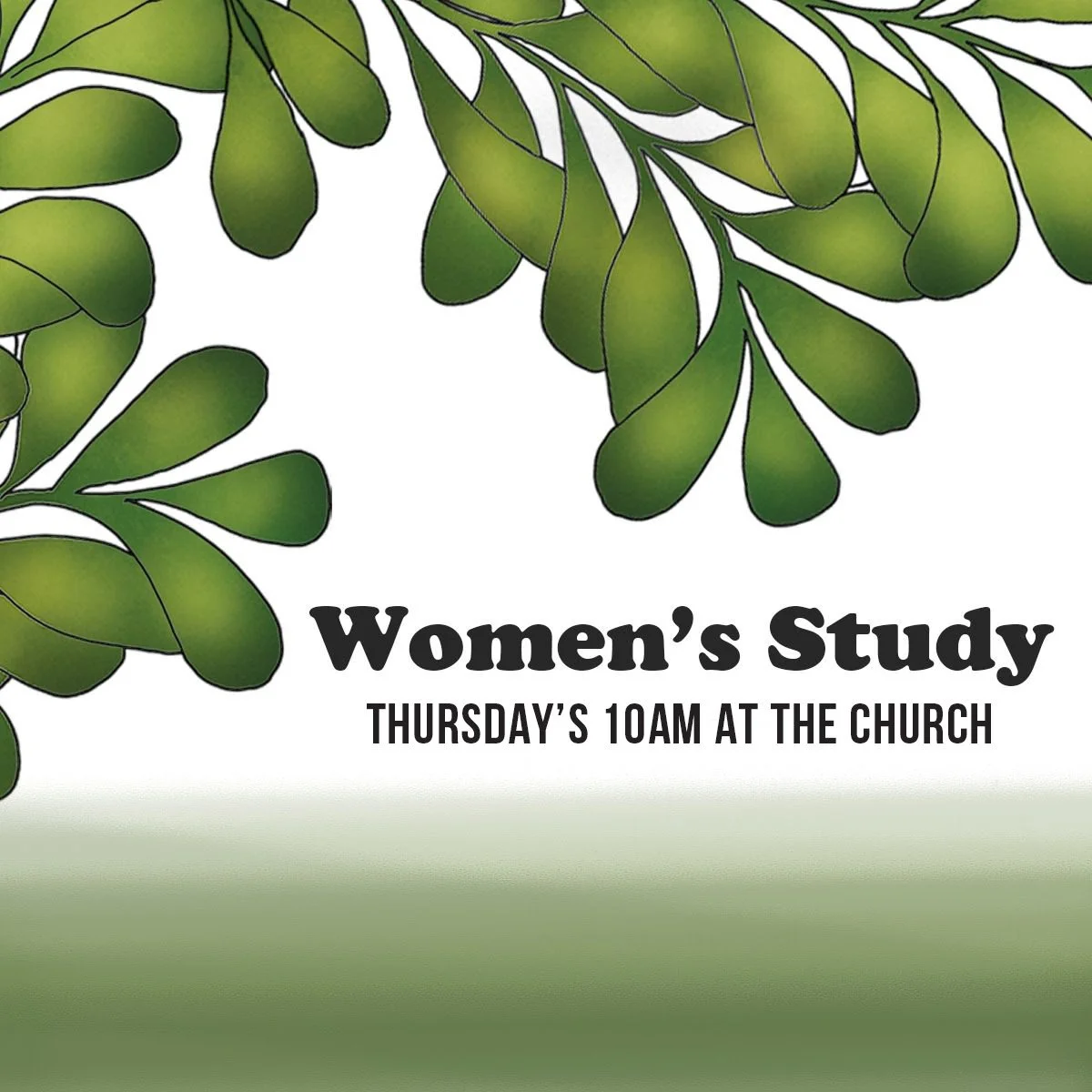 Women's Bible Study