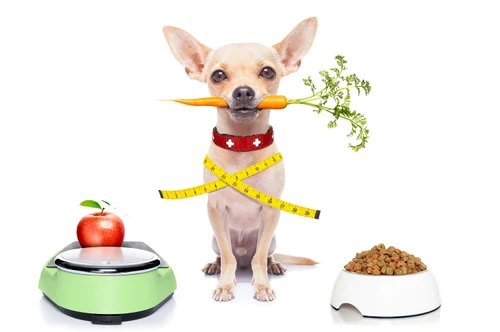 simmons pet food brands