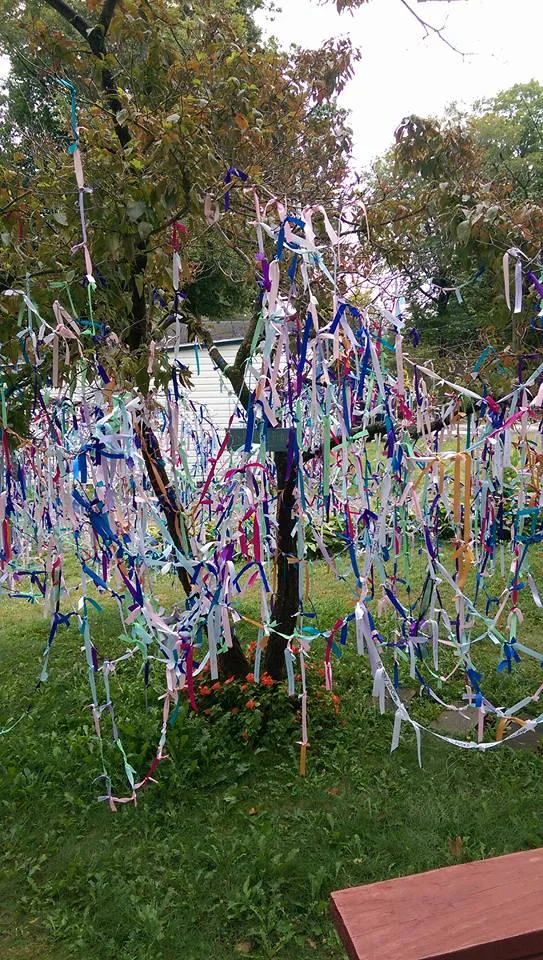 Prayer tree in Lilydale, NY
