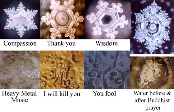 Amazing that this study proved this time and time again. They look like snowflakes..