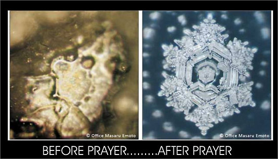 Same river, same molecule. Just one difference.