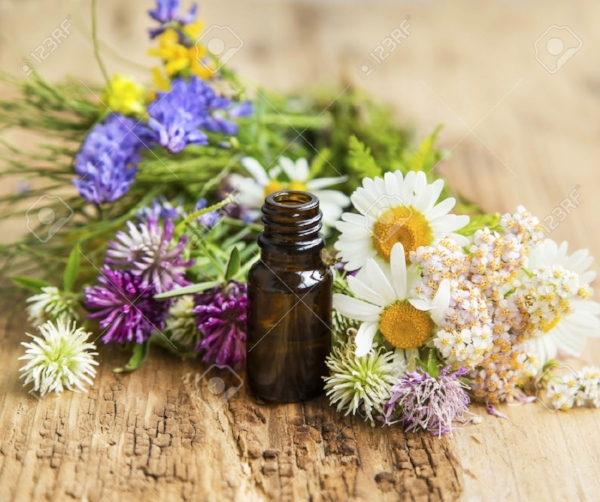 All those pretty flowers... yes they were stuffed into those little bottles, just for you and me. Isn't nature WONDERFUL?