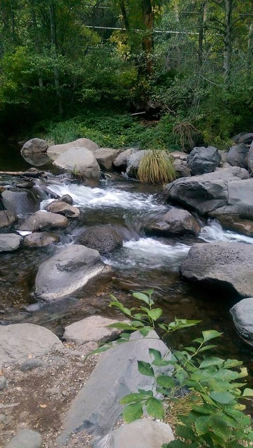 An oasis in the middle of the desert. Oak Creek runs right in the middle of the red rocks, creating a lush green spot " Verde Valley". It is great for fishing, kayaking, or sliding at Slide Rock Park .