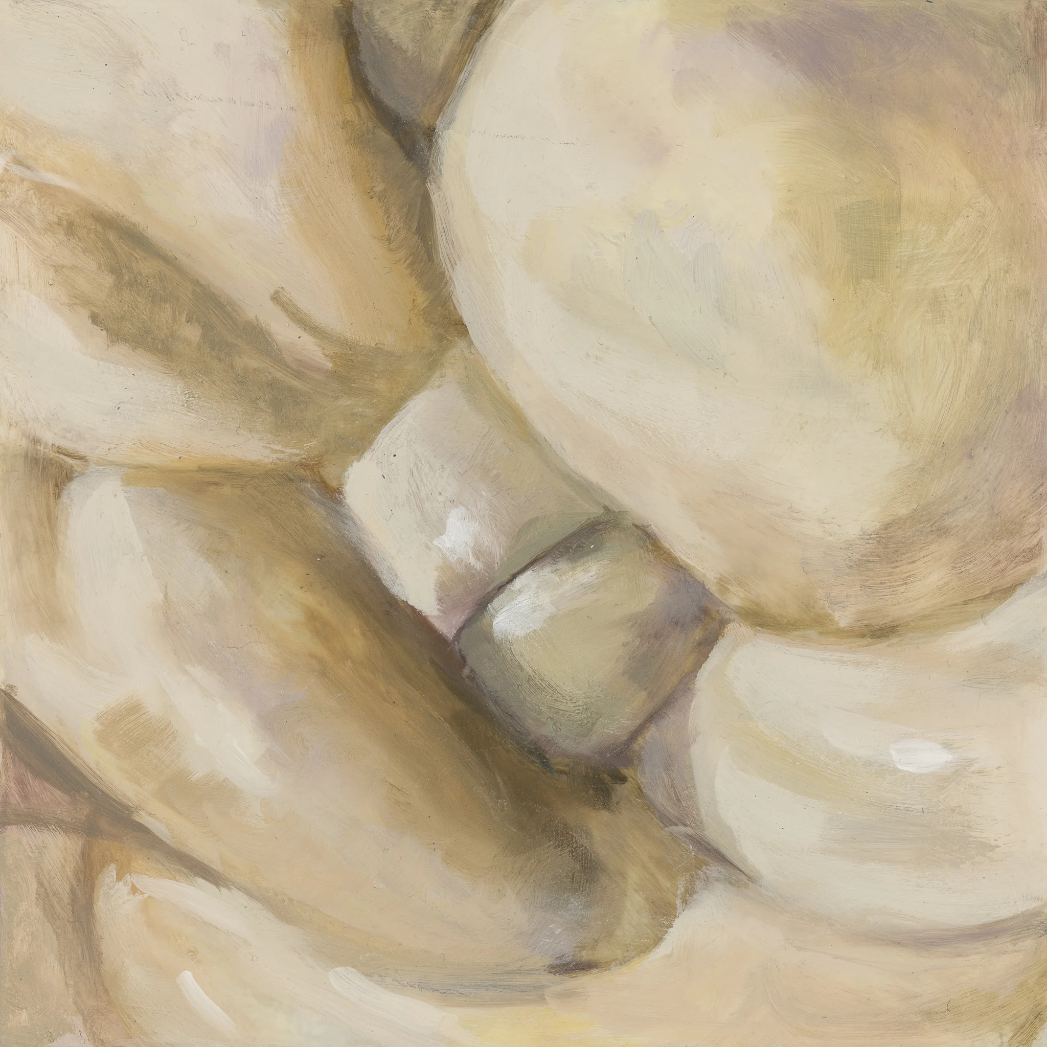 Protuberance