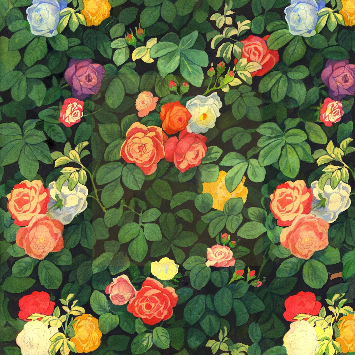 rose pattern copy.jpg
