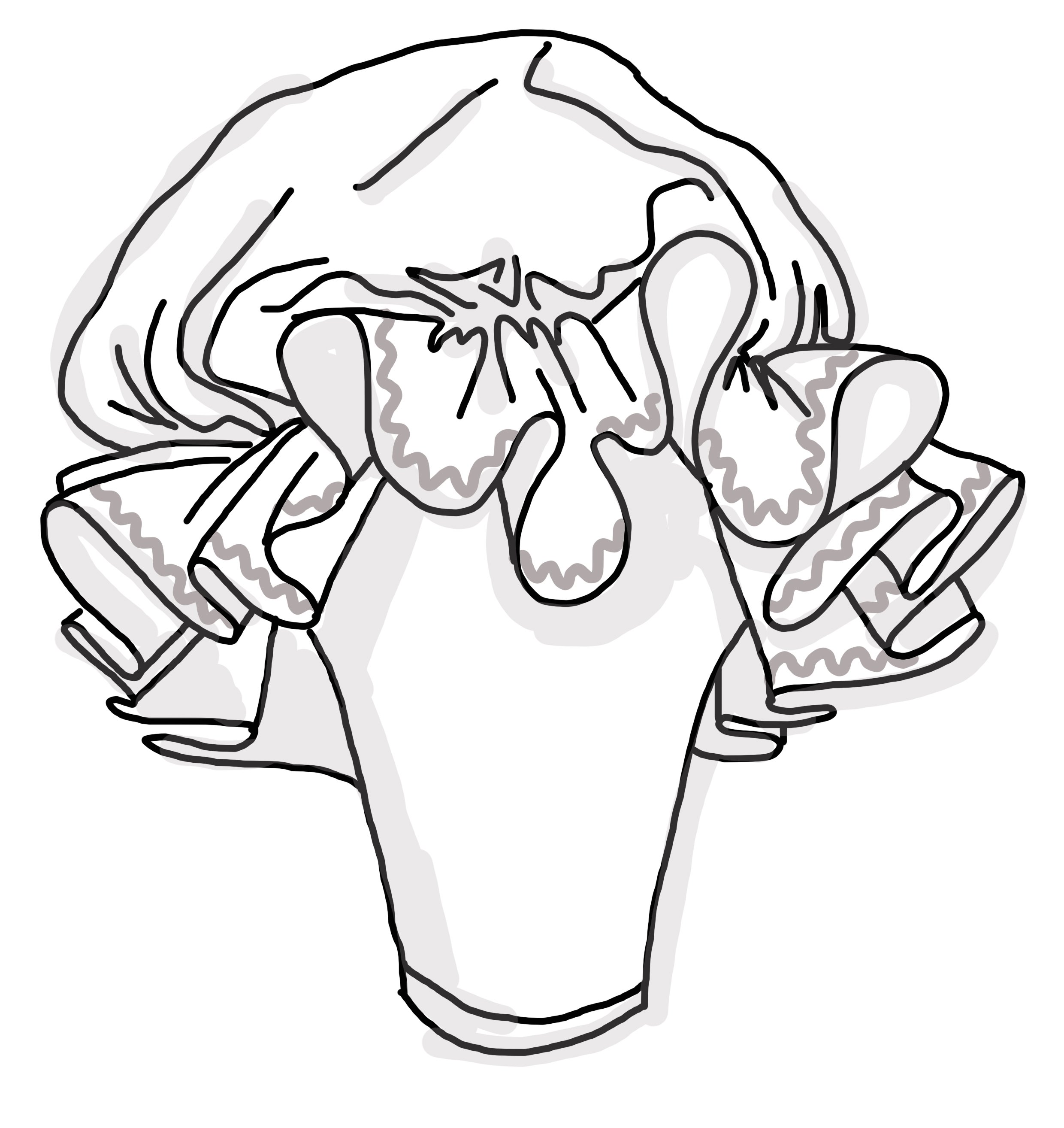 mob cap illustration.jpg