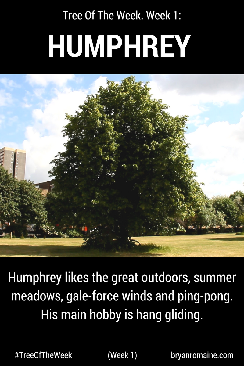 Humphrey Week 1.png