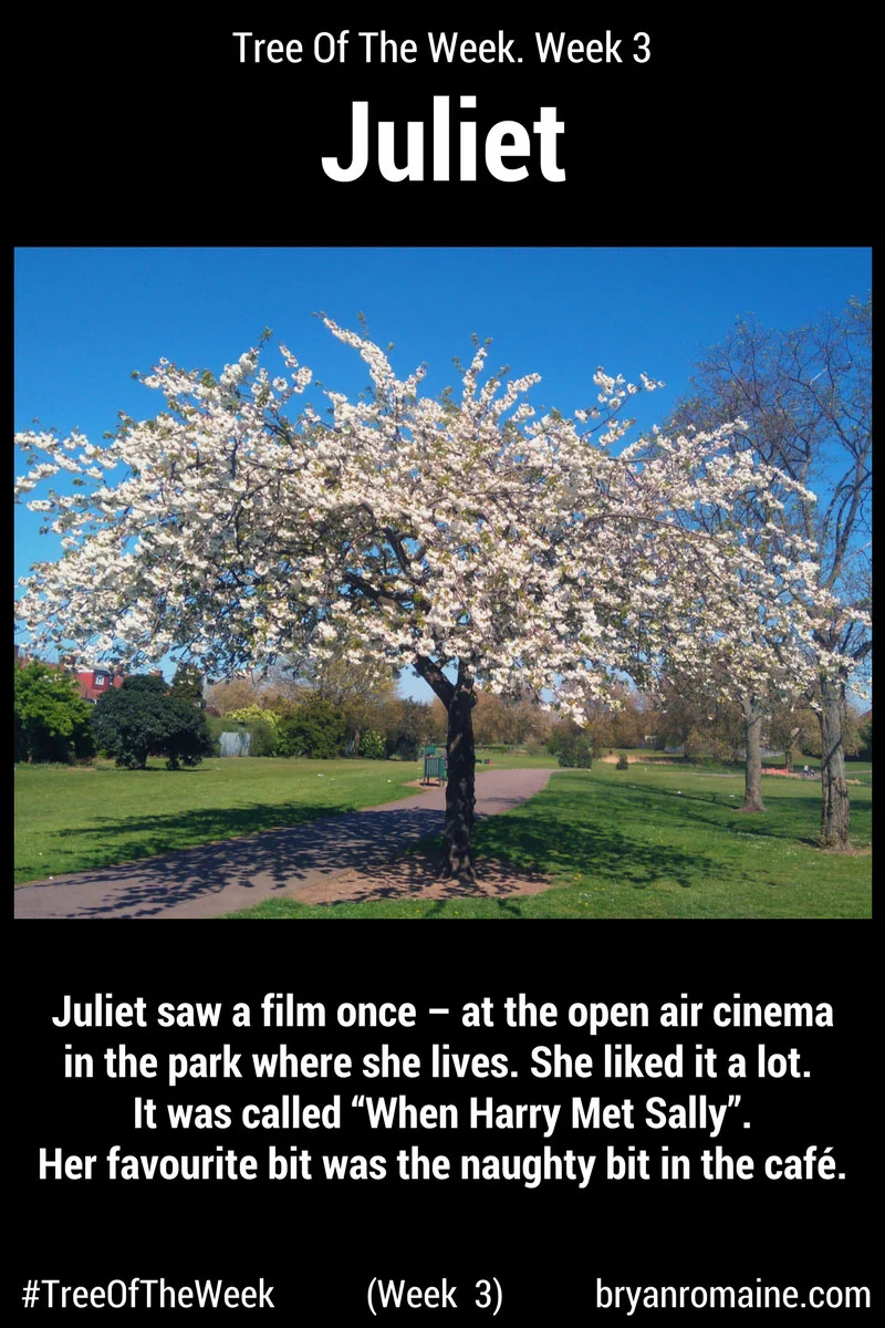 Juliet-Week-3-sfw.jpg