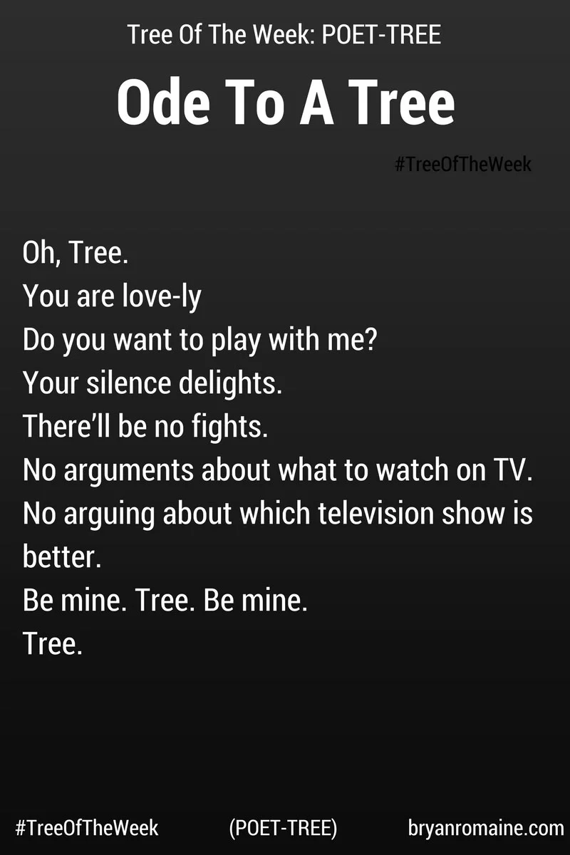 PoetTree-Ode-To-A-Tree-sfw.jpg