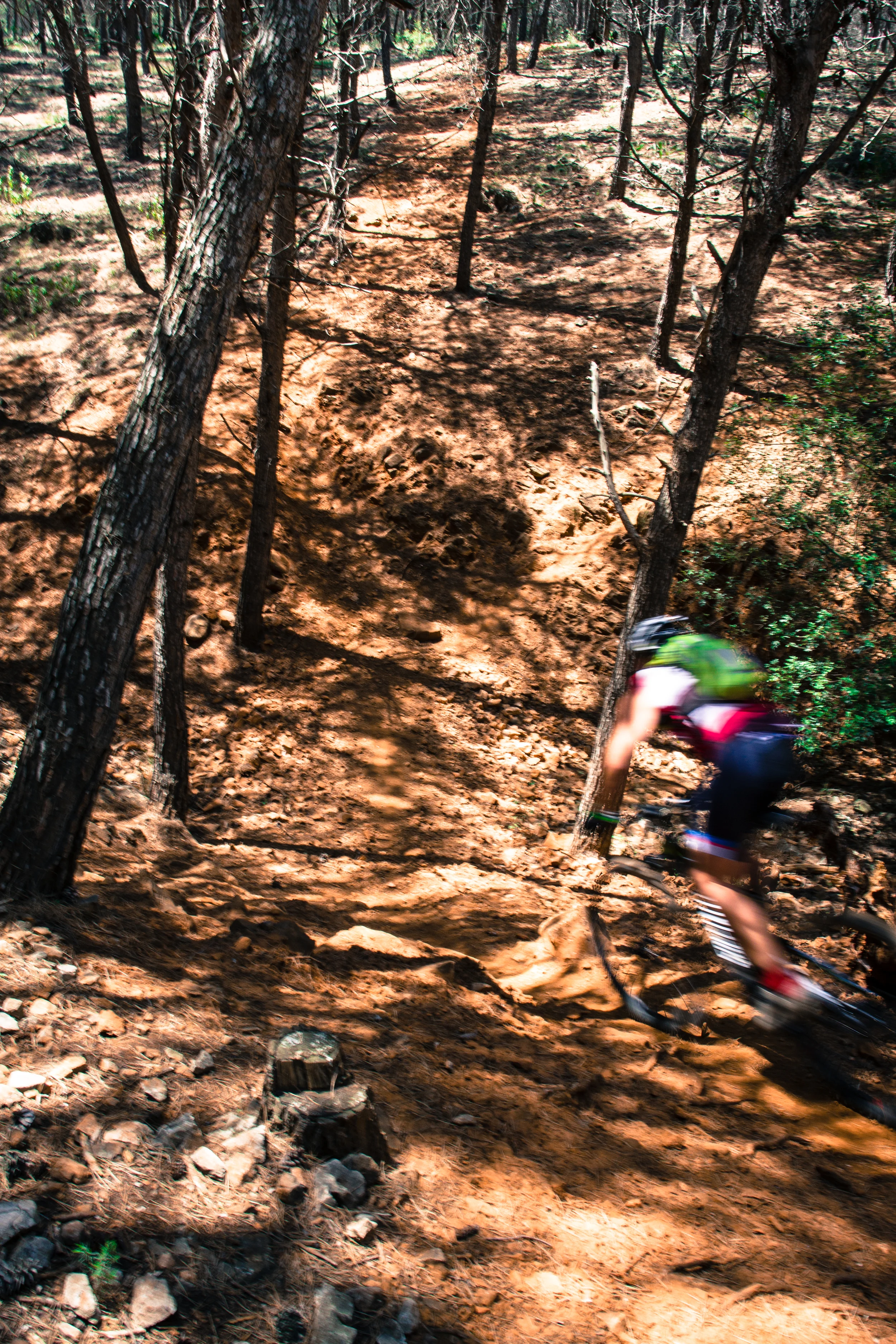 Steep descents in the forest
