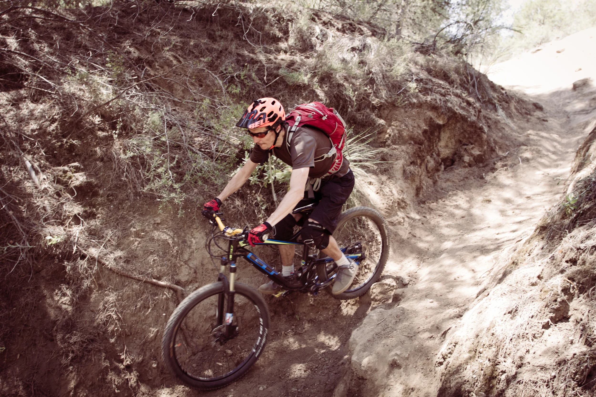 Sandy descent in the forest