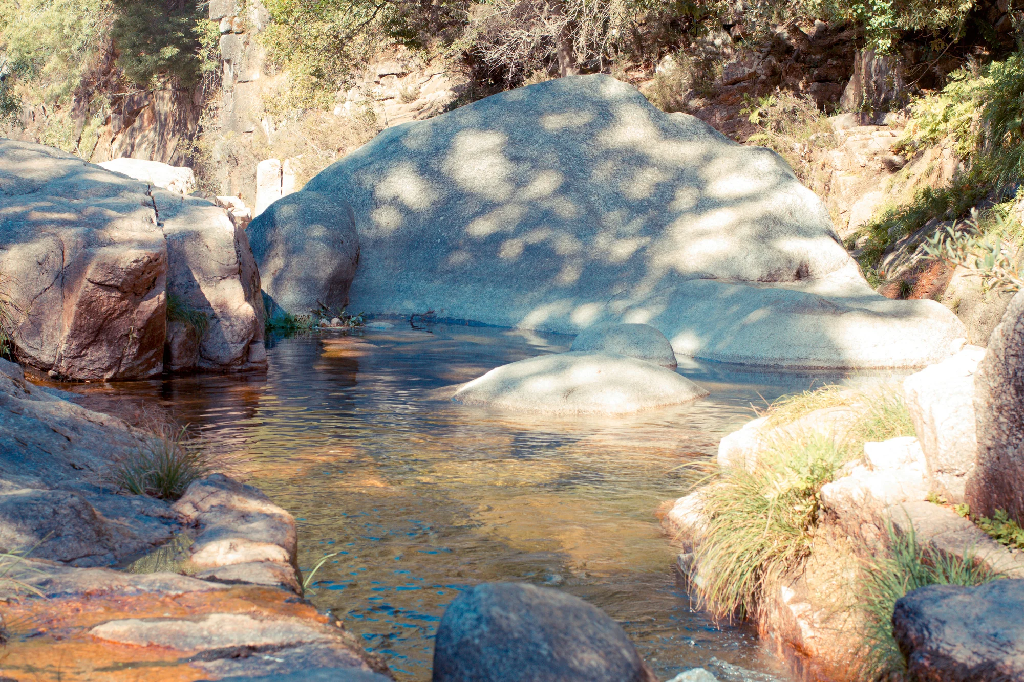 Natural swimming pool.