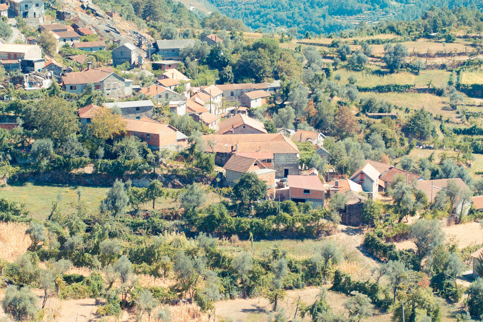 Traditional village.