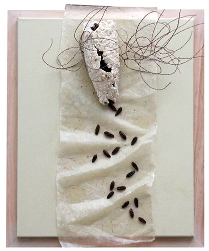 Cocoon with Twigs 22 X 18