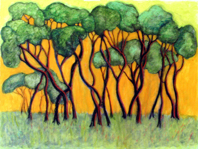 Manzinita Trees