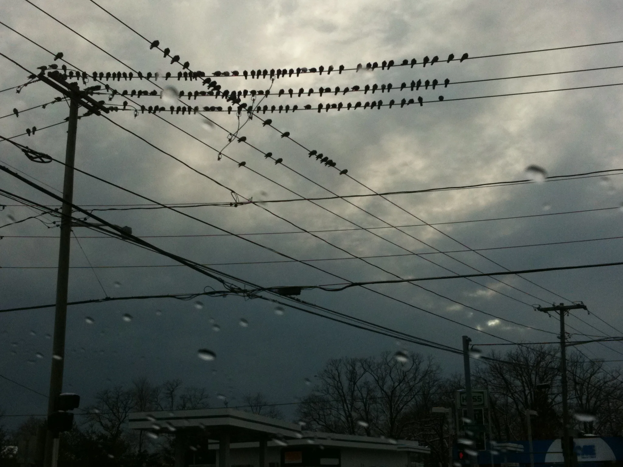 photo-6f.JPG