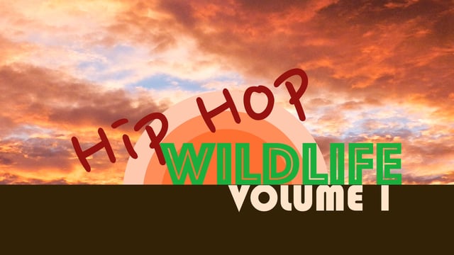 Hip Hop Wildlife.