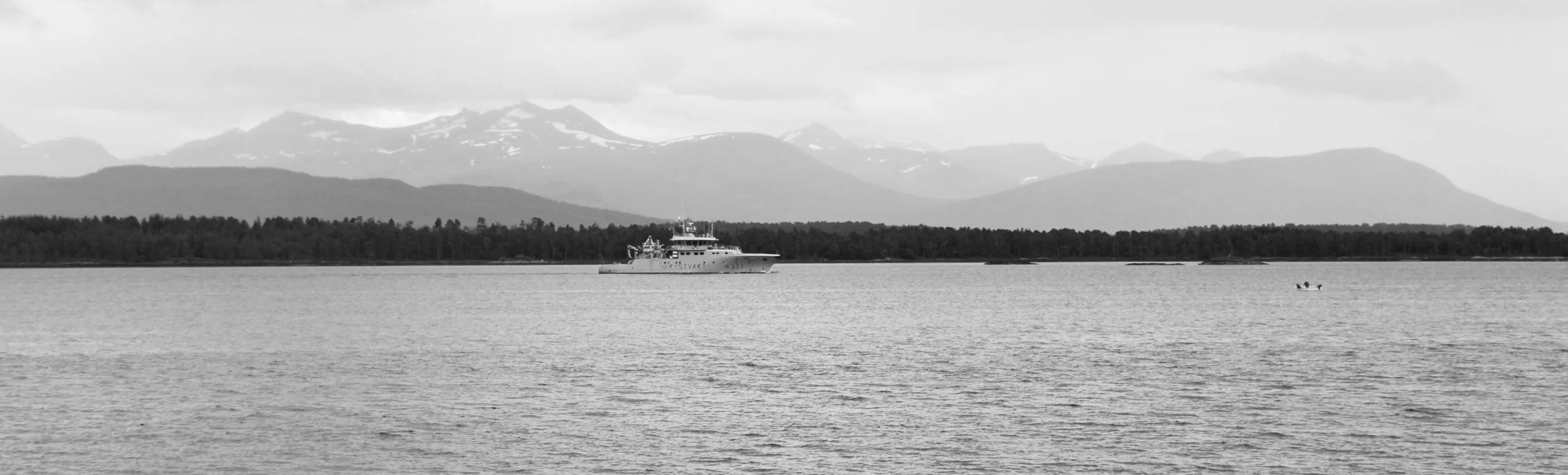 IMG_2719.jpg