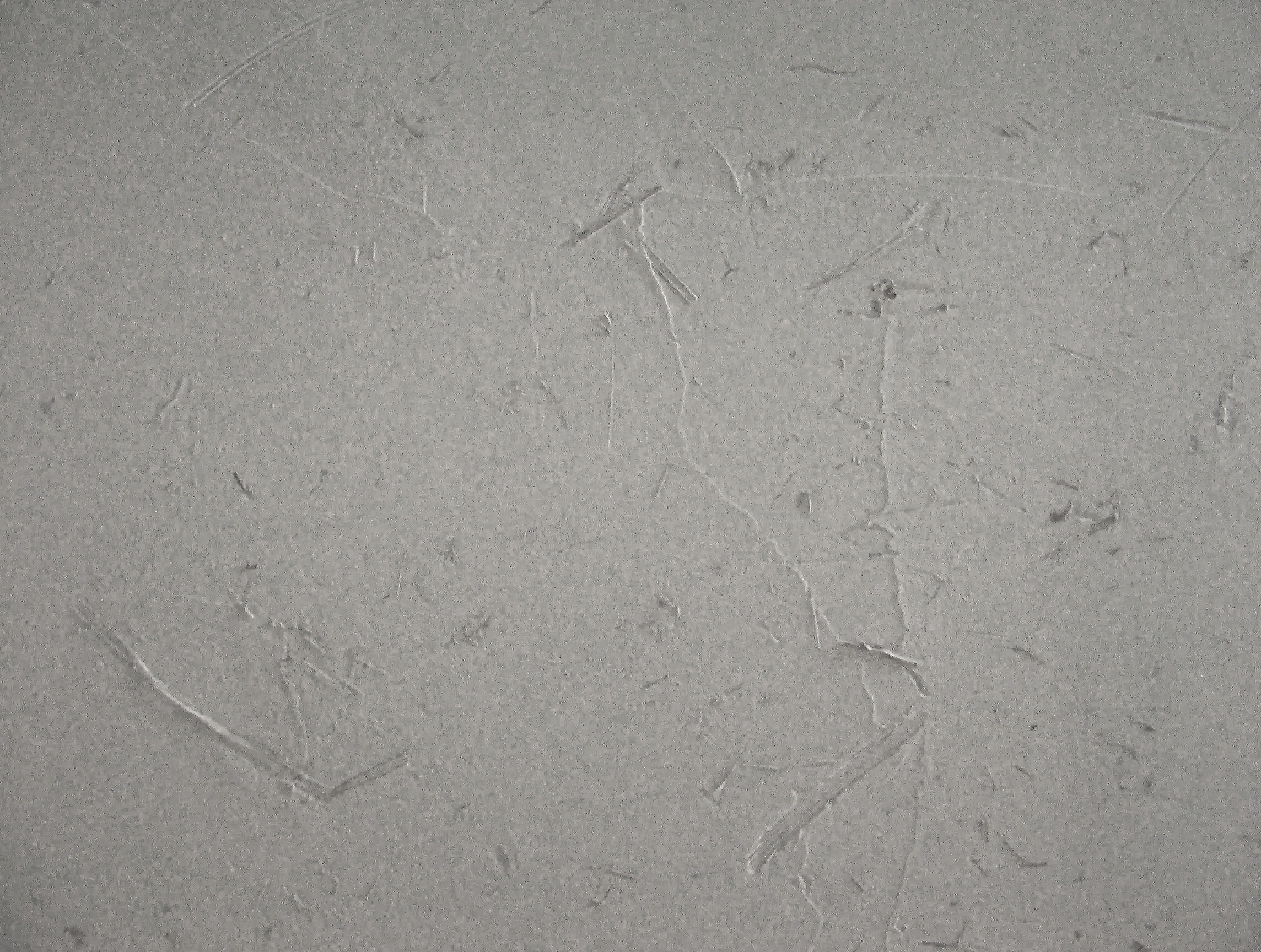 Hay Texture 1