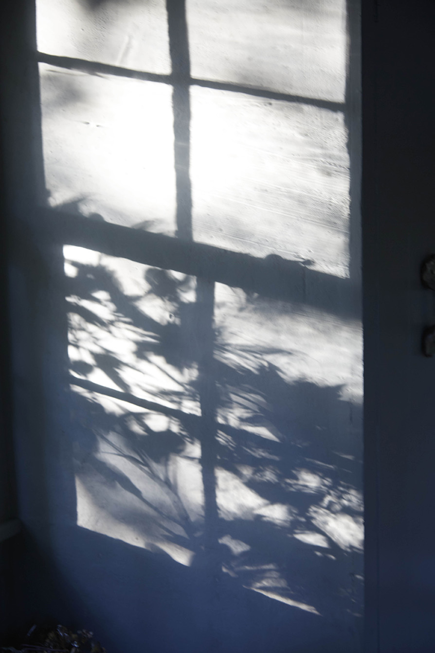 Paula august house 1.jpg