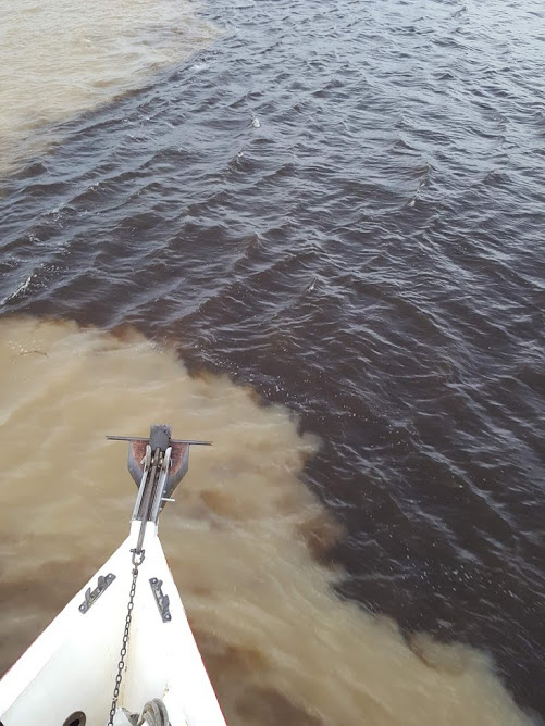 Where the Amazon and Rio Negro Rivers meet. Great pic by Linda Brining
