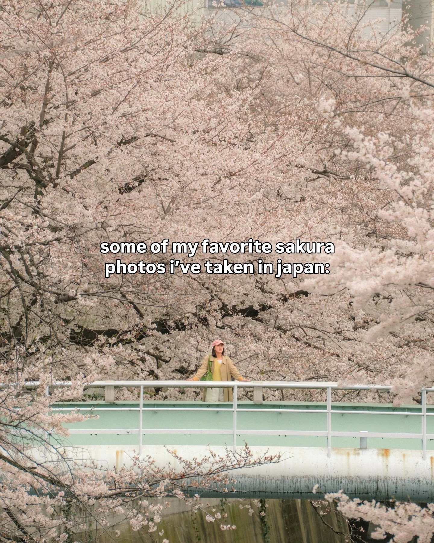 sharing some of my favorite photos of sakura i&rsquo;ve shot in japan from 2017 to 2025 just because i feel like it (and also it&rsquo;s that time of year 🤭) looking back at these photos i can really see the difference in my editing style