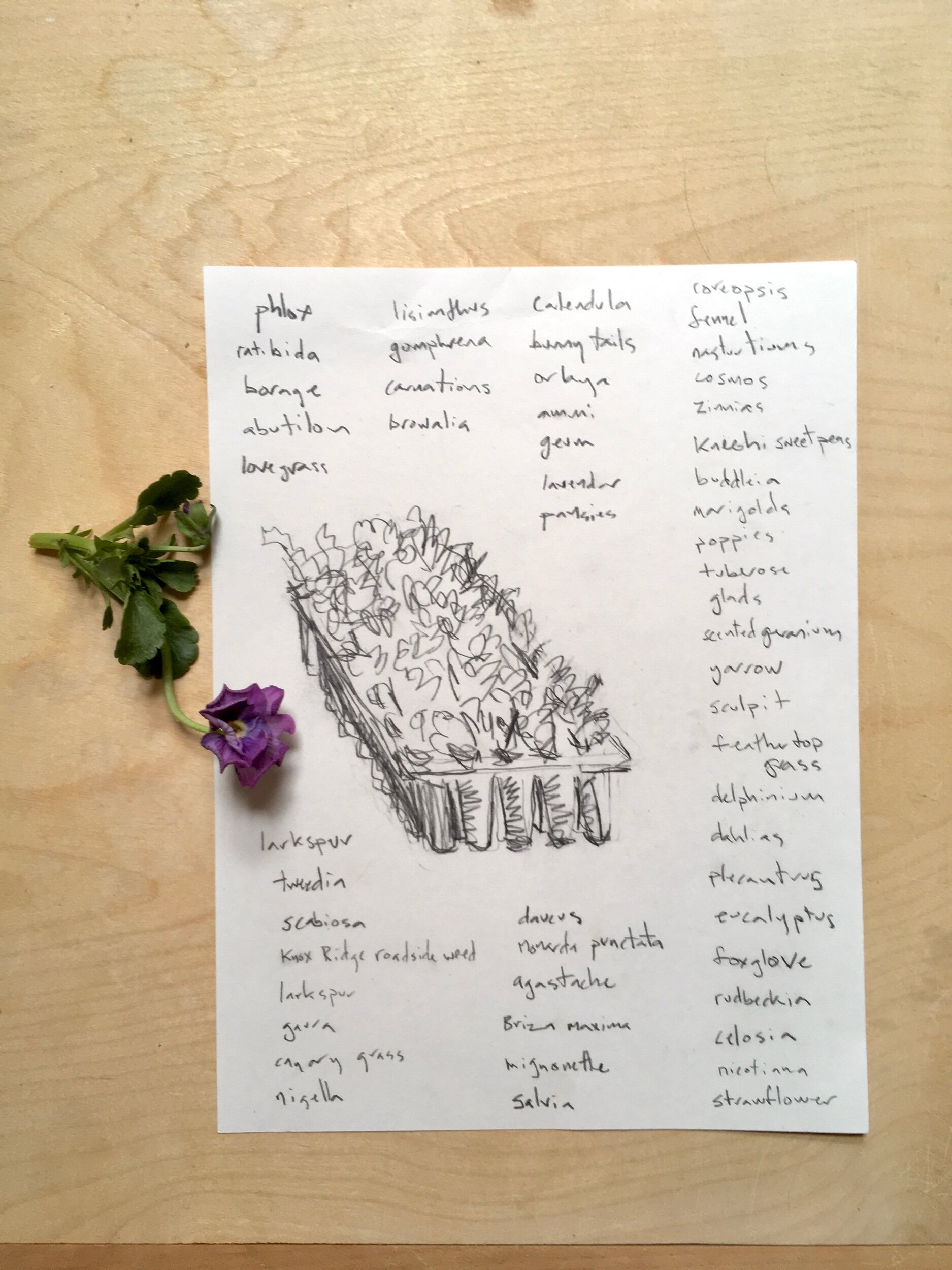 B1157E84-3C00-4020-B81E-84020288E9DE