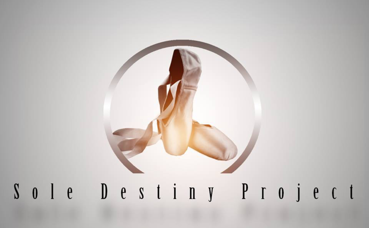 Sole Destiny Project.PNG