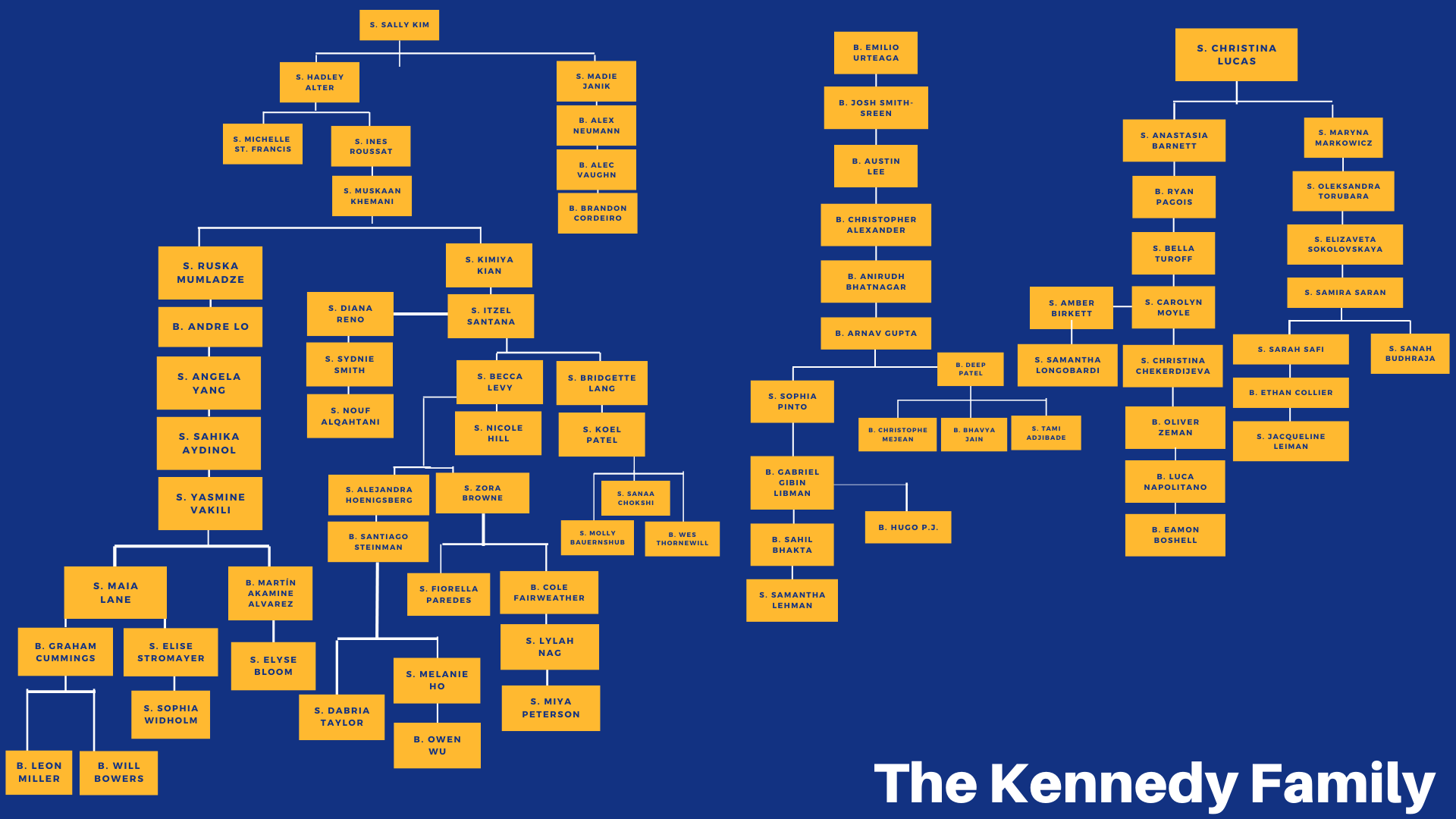dpe gamma family trees.png