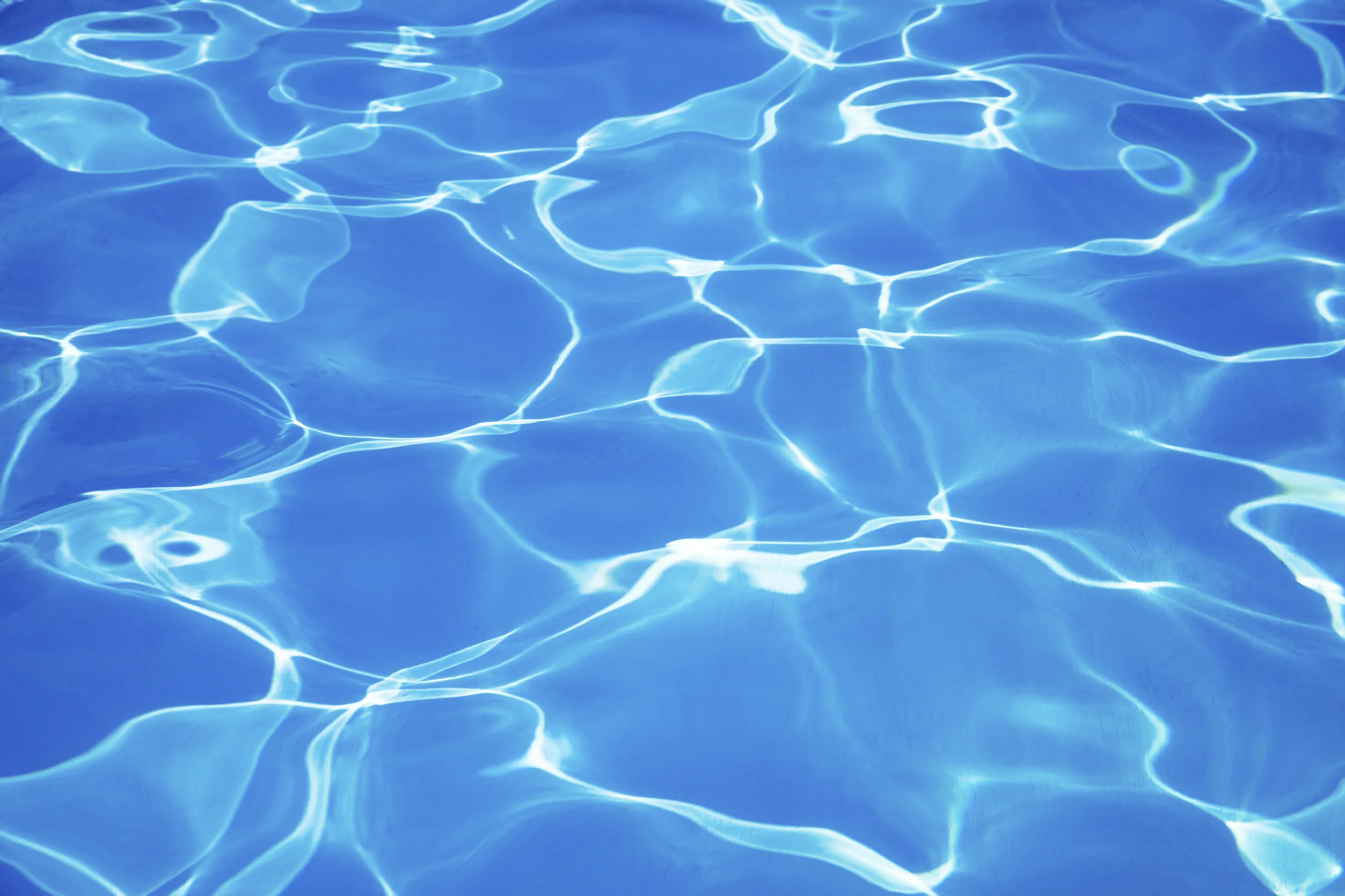 iStock_000071112861_Large.jpg