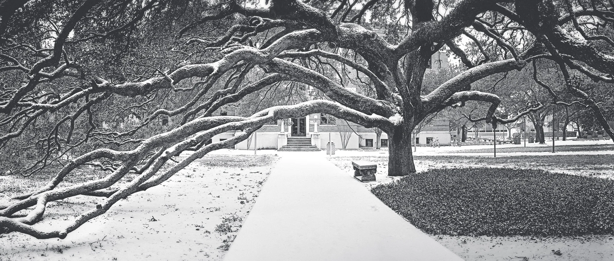 Aggieland Wonderland