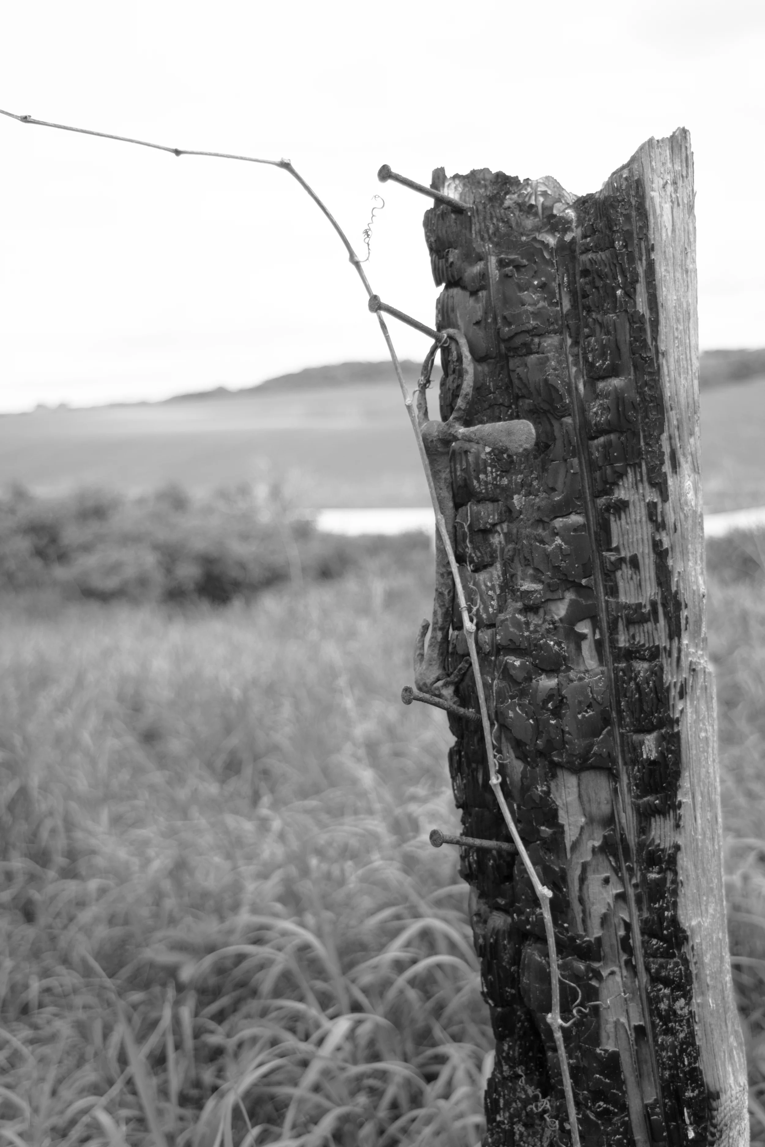 053015_76.jpg