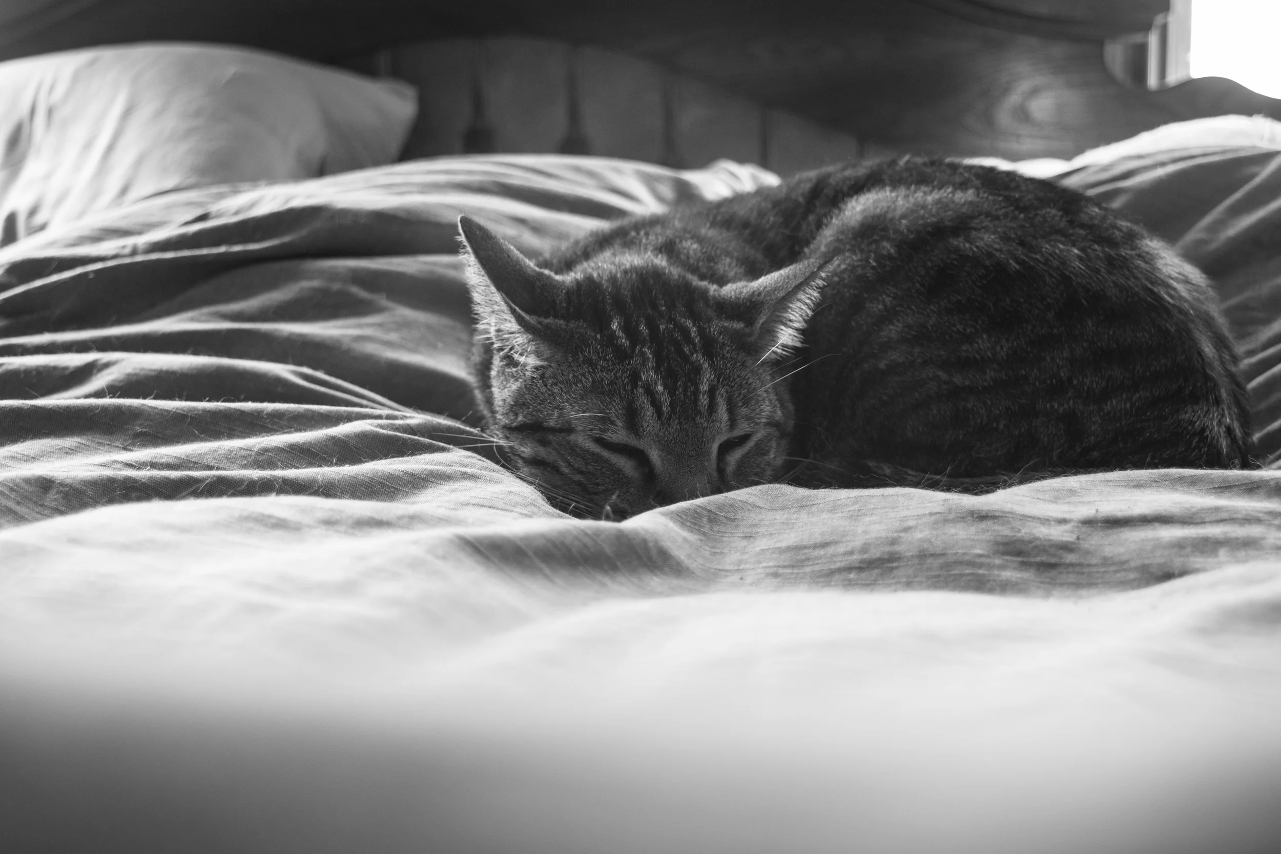 053015_12.jpg