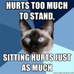 Back pain 4.jpg