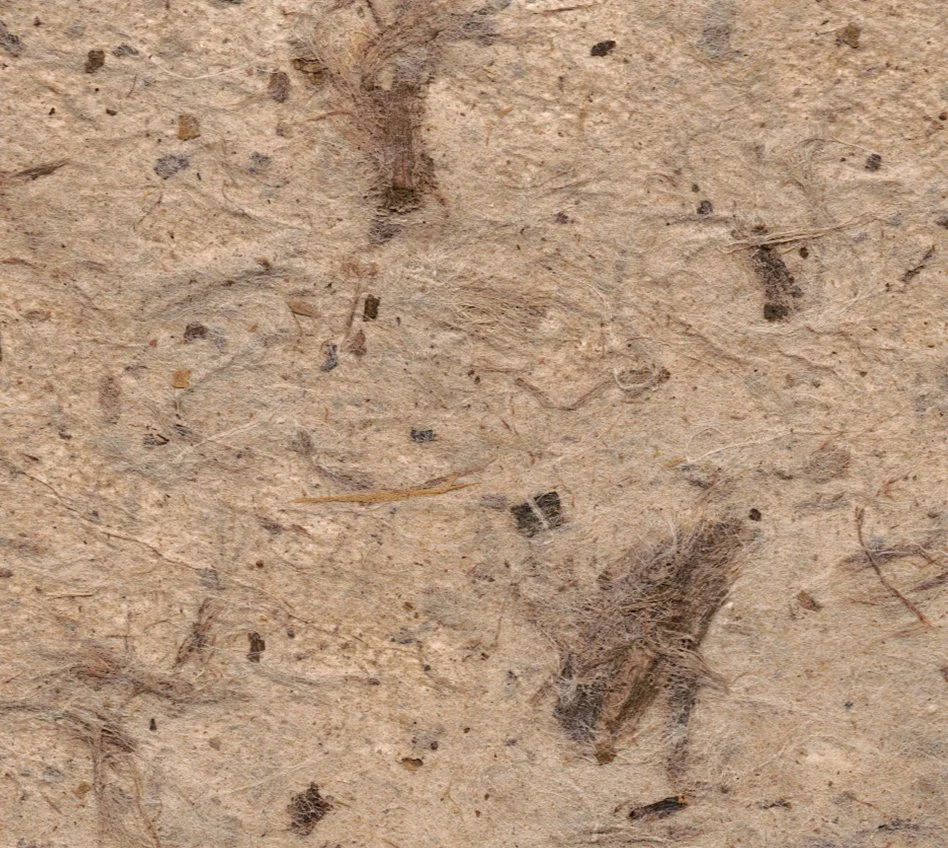 webdetail5.jpg