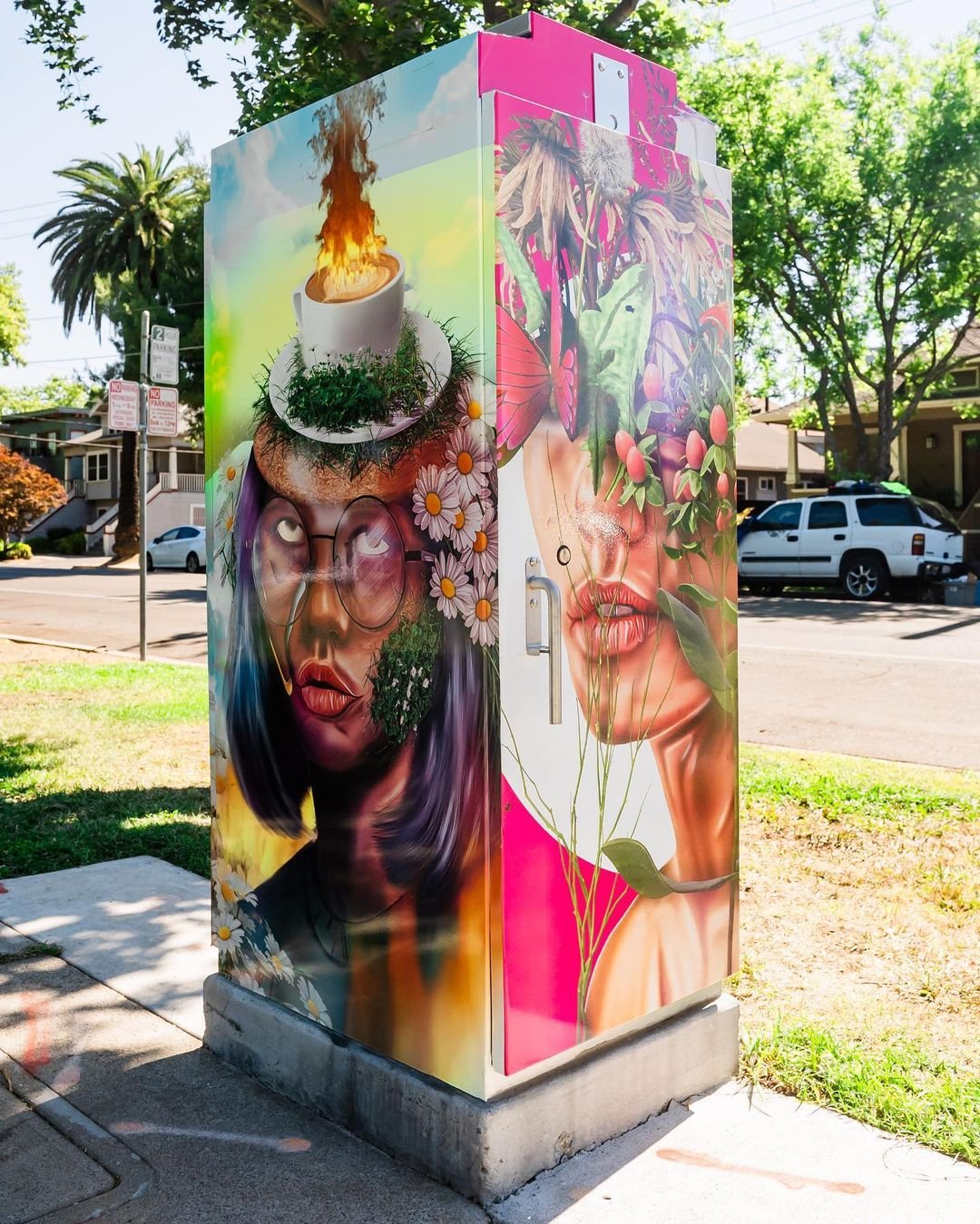 Street-Art-on-Electrical-boxes-by-Brandon-Gastinell-Winn-Park-in-Sacramento-California-3-Photo-by-xsession-12.jpg