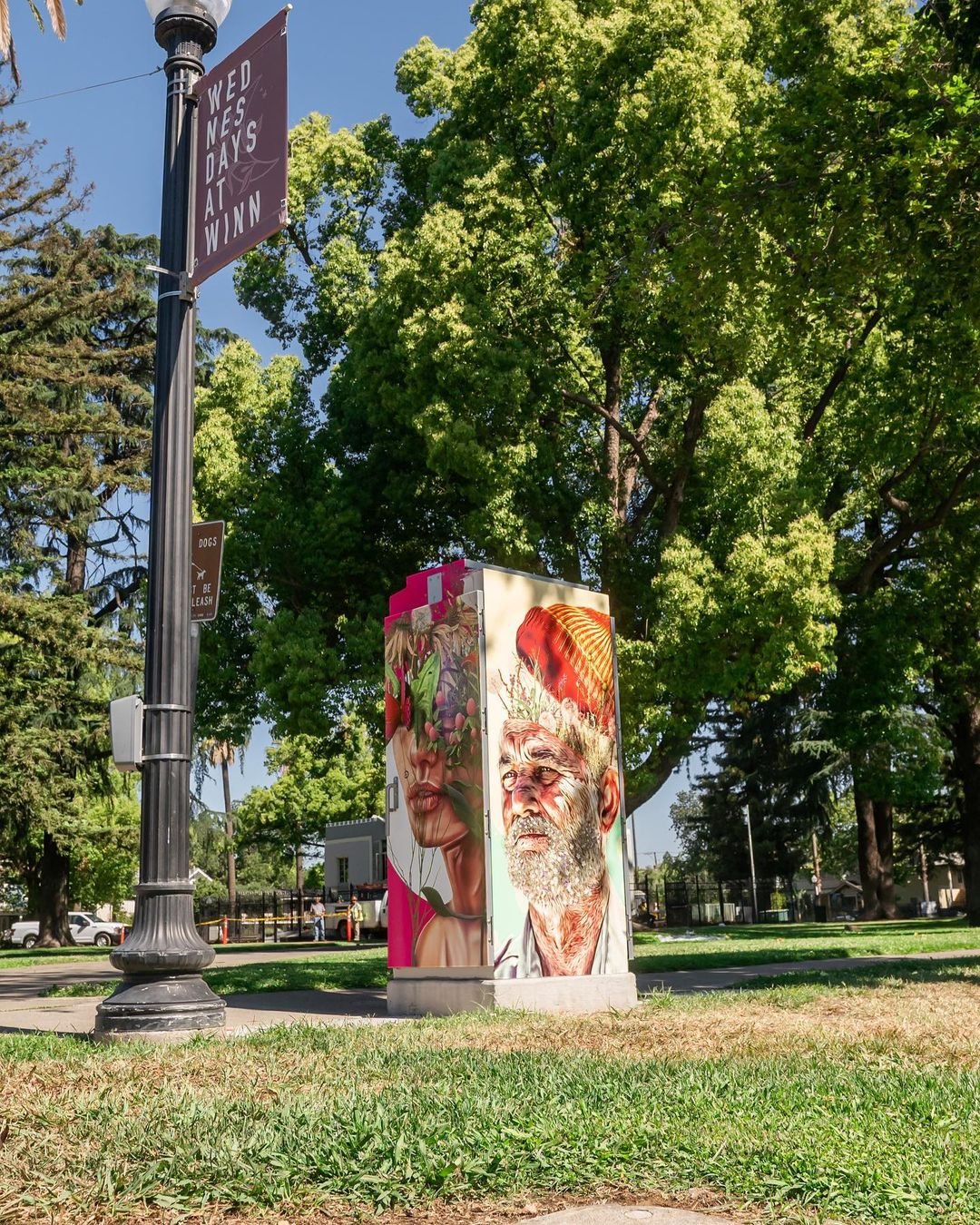 Street-Art-on-Electrical-boxes-by-Brandon-Gastinell-Winn-Park-in-Sacramento-California-3-Photo-by-xsession-9.jpg