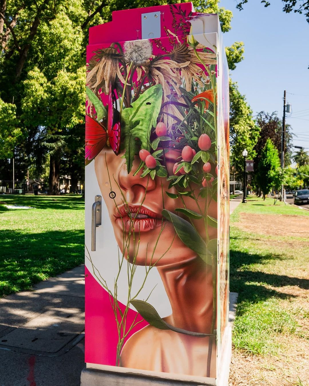 Street-Art-on-Electrical-boxes-by-Brandon-Gastinell-Winn-Park-in-Sacramento-California-3-Photo-by-xsession-4.jpg