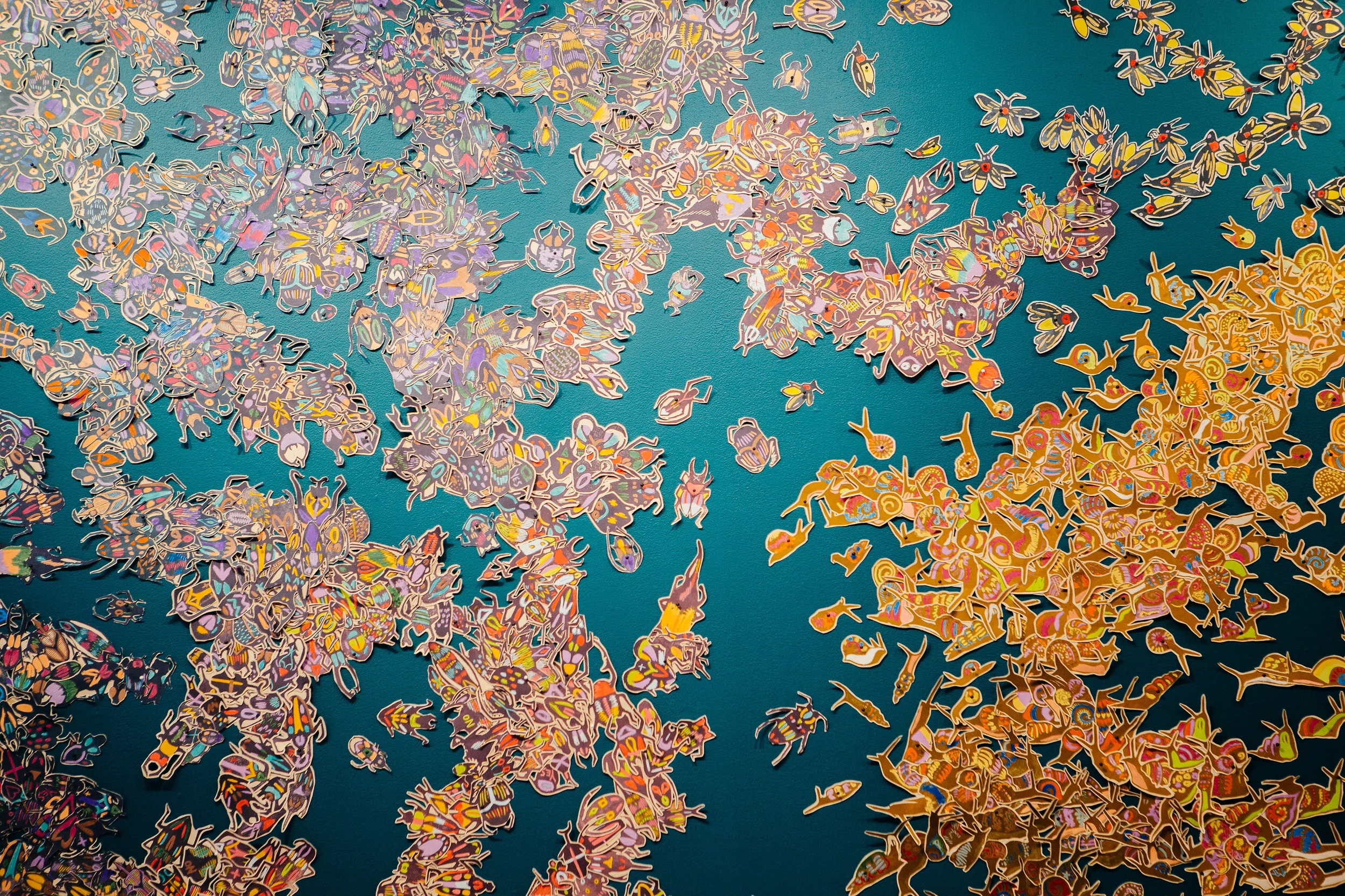 beetles and snails.jpg