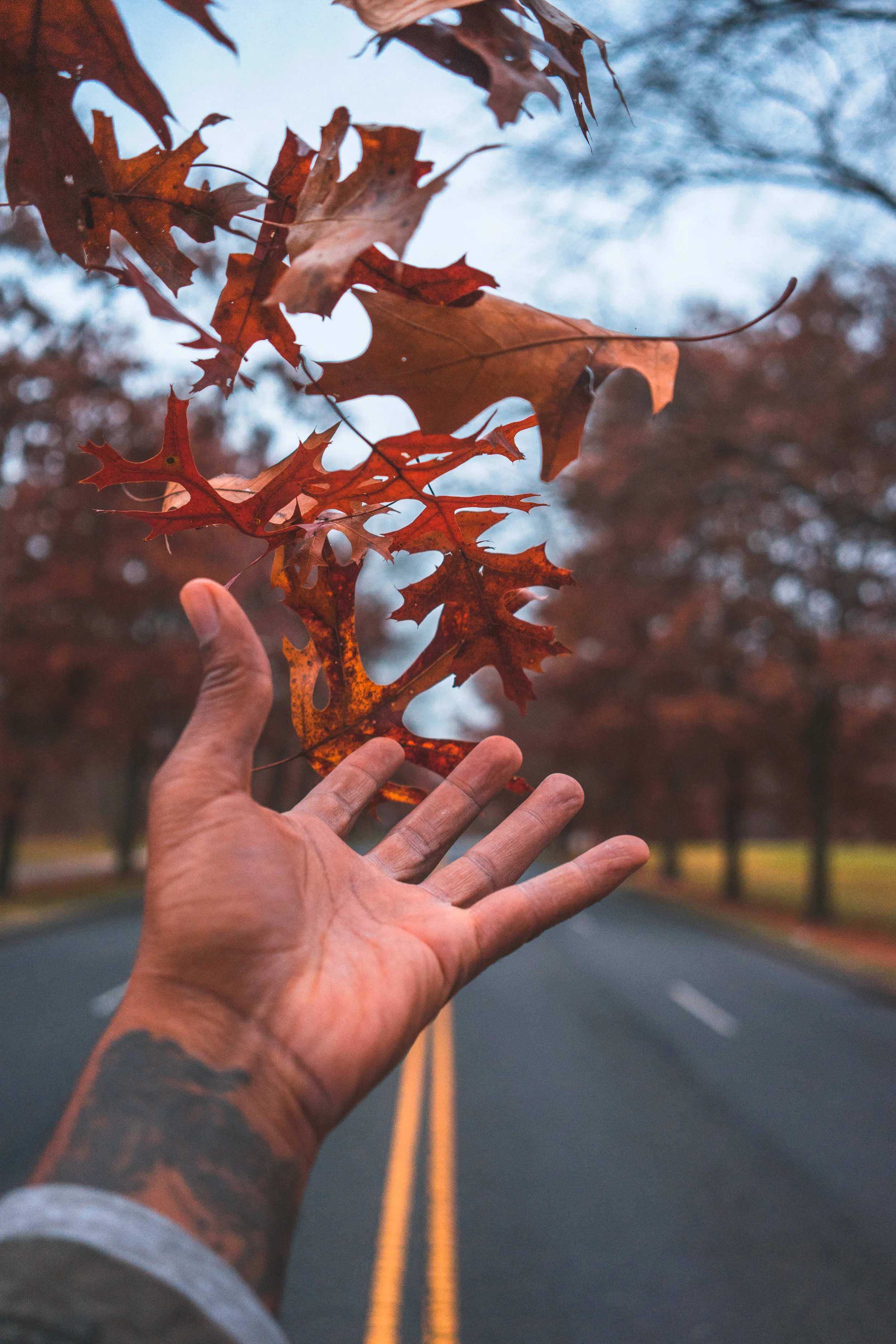 Perfect Timing