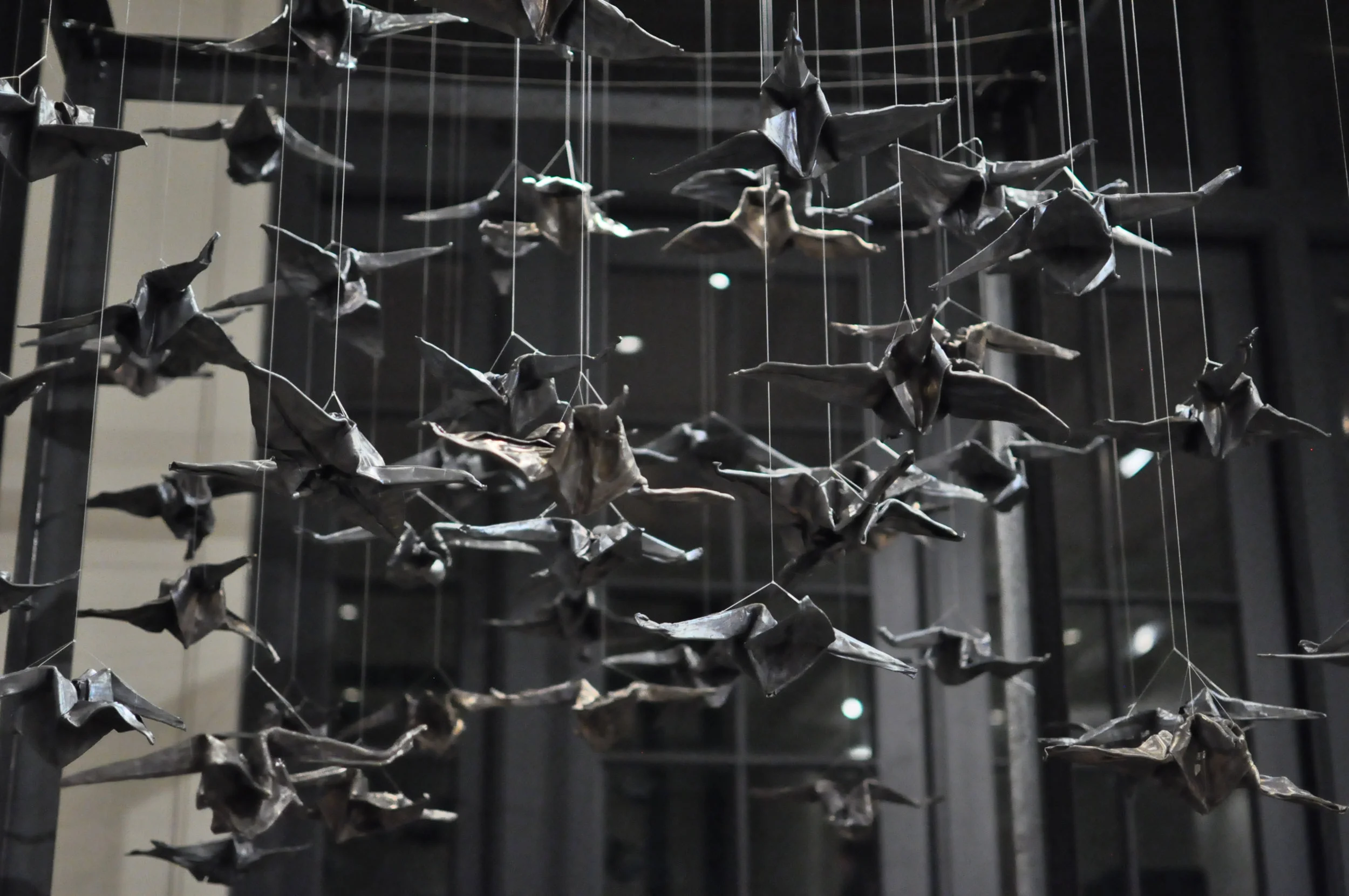 murmurations5.jpg