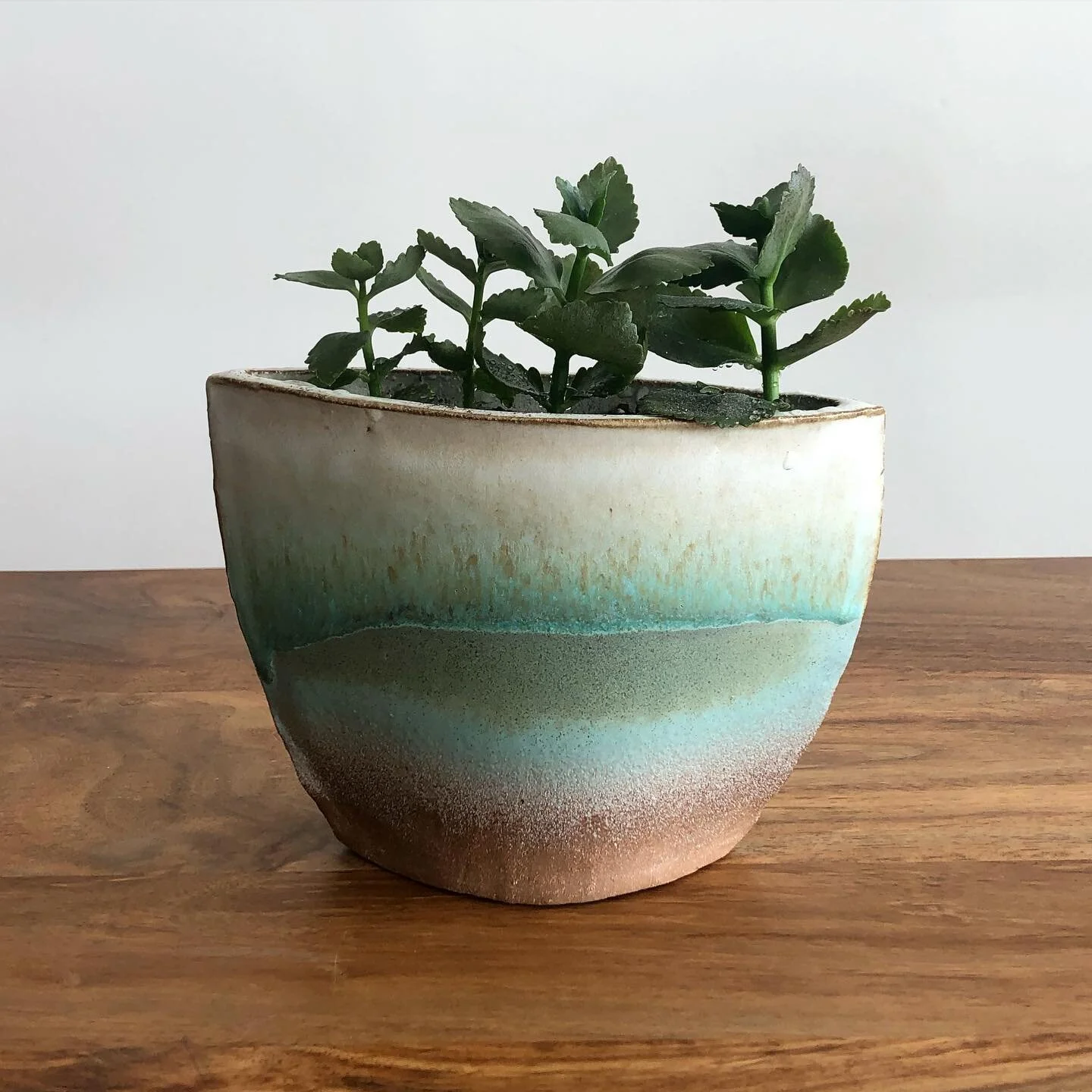 One of my favorite glaze recipe! I thought it&rsquo;s time to add green to my insta account 😌 #botanical #handmadepottery #ceramicglaze #homeplants #clayart #ceramicart #stoneware