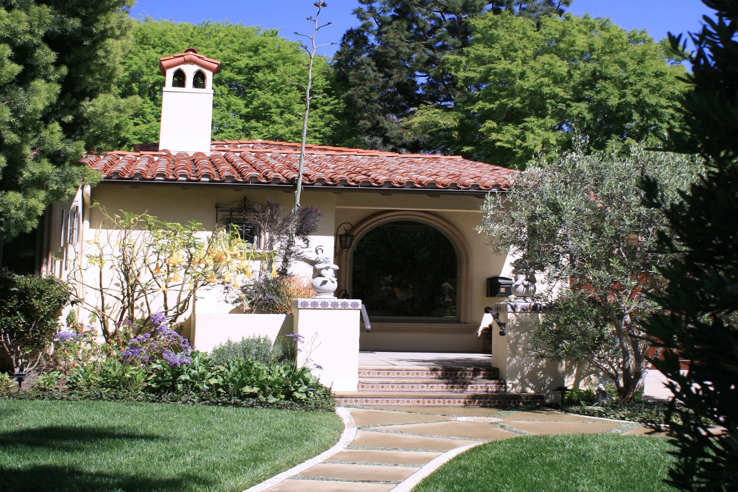 olmc15.jpg