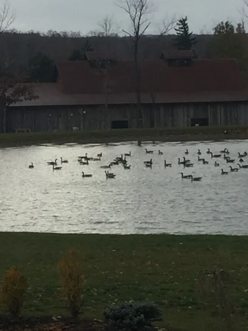 Beautiful fall scenery at Laurentia