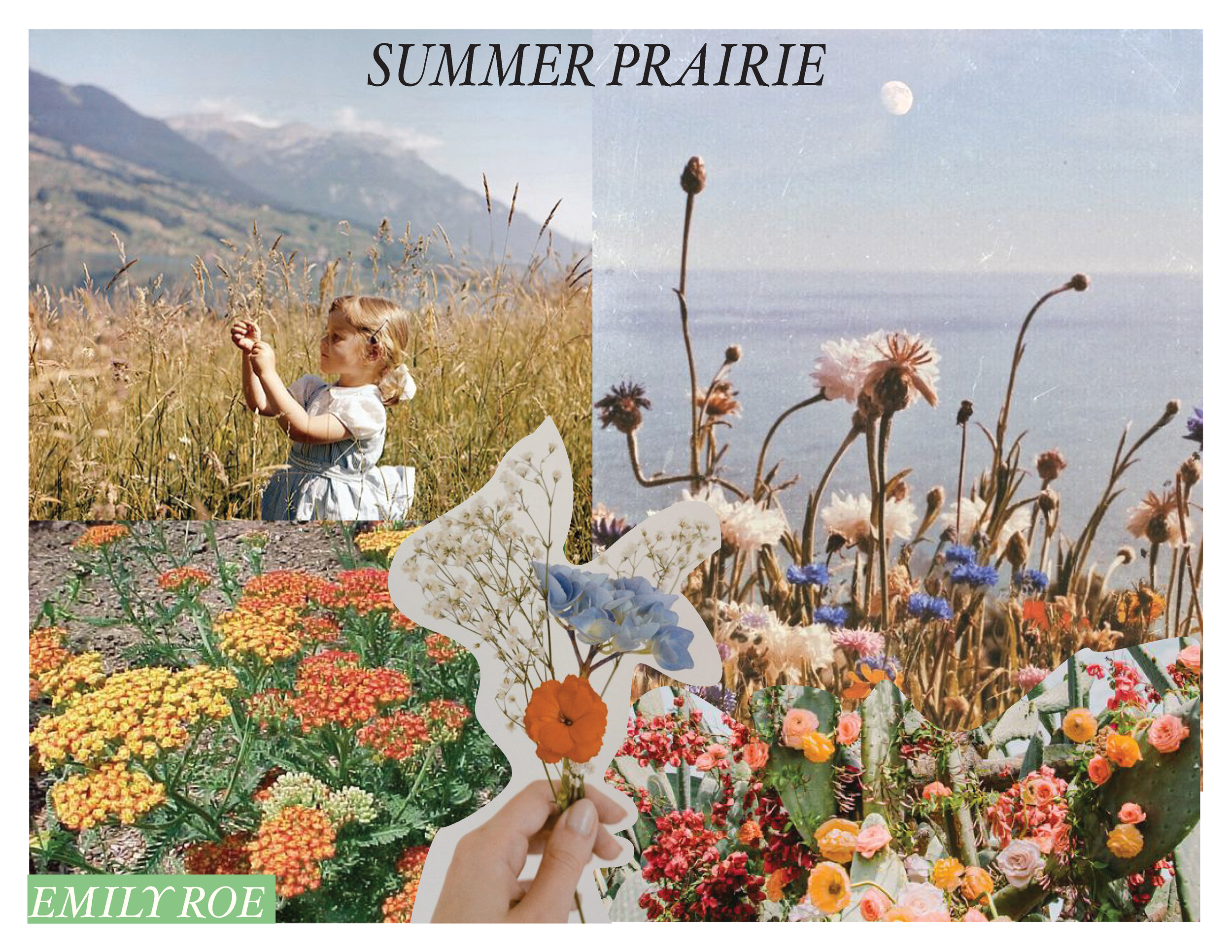 Emily_Roe_SummerPrairie_Page_1.png