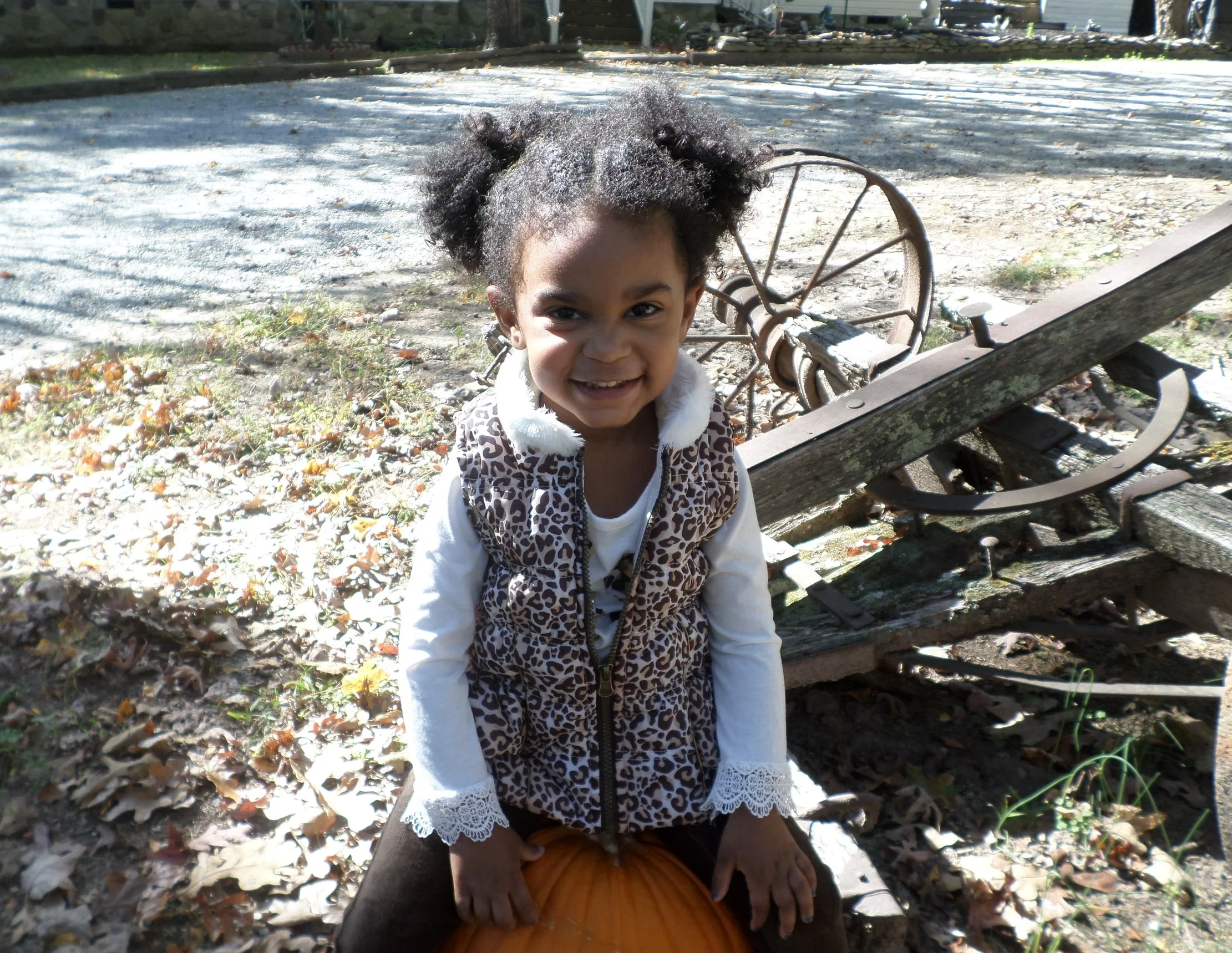 Three Fall Looks for Toddlers 