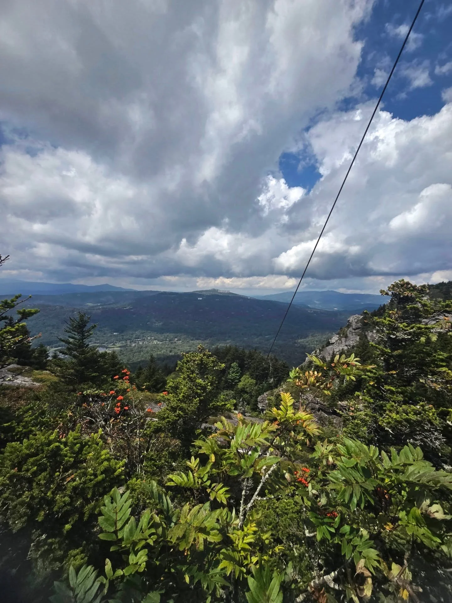 My nerves won't let me drive to the top of Grandfather Mountain. 
However, I'll be your nervous passenger princess if I trust you.

Trusting Mark finally got me back to the mile high swinging bridge. It was Vivia's and Alora's first time up there.

G