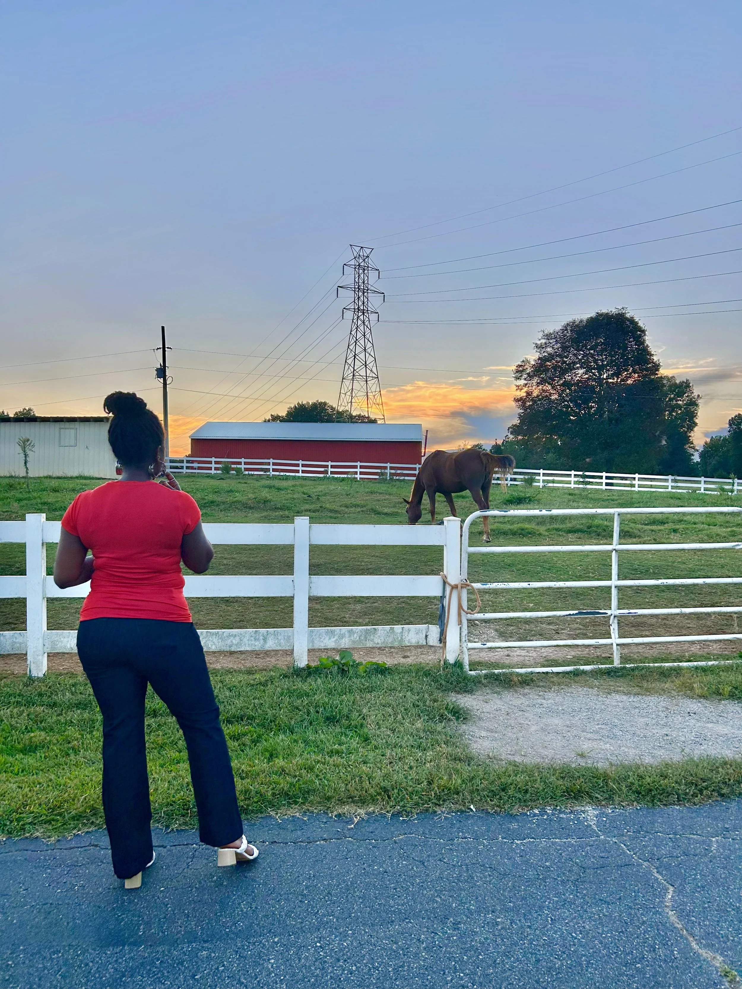 Resetting at Healing Chamber Farms